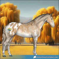 Horse Color:Chocolate Palomino Dun Mushroom Sabino Appaloosa 