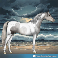Horse Color:Silver Smoky Black Tobiano 