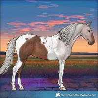 Horse Color:Silver Black Tobiano 