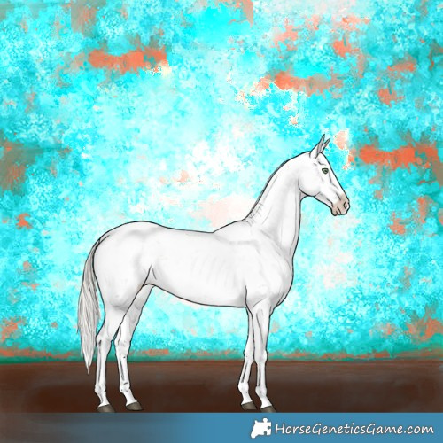Horse Color:Silver Buckskin Dun Sabino Rabicano