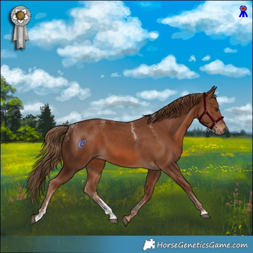 Horse Color:Powder White Chestnut 