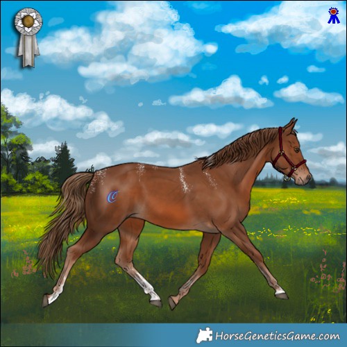 Horse Color:Powder White Chestnut 