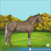 Horse Color:Silver Smoky Black Tobiano Rabicano 
