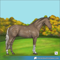 Horse Color:Silver Smoky Black Tobiano Rabicano