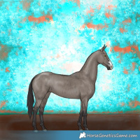 Horse Color:Smoky Grullo Sabino Rabicano Brindle 