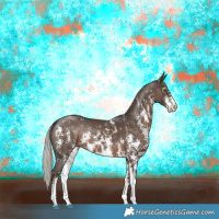 Horse Color:Silver Black Sabino Rabicano 