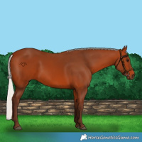 Horse Color:Silver Bay 