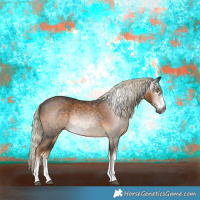 Horse Color:Gray White Spotted Chocolate Palomino Rabicano