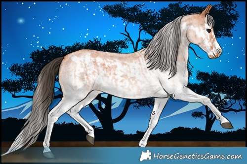 Horse Color:White Spotted Bay Roan Splash  and White Spotted Bay Roan Splash Frame 