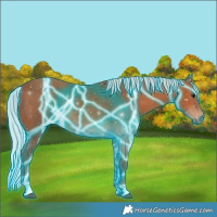 Horse Color:Thunderstruck Silver Bay 