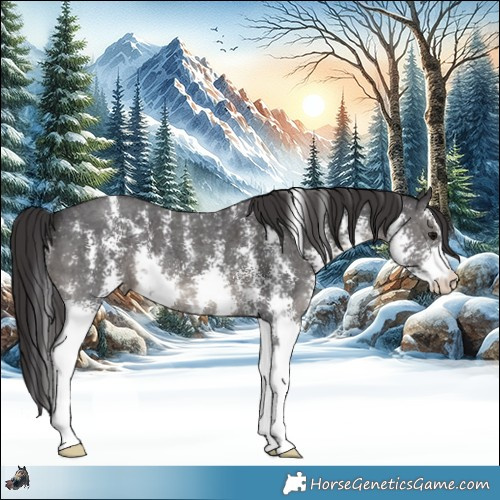 Horse Color:Smoky Black Sabino 