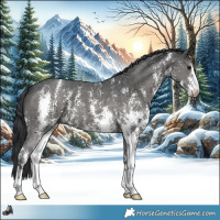 Horse Color:Black Sabino 