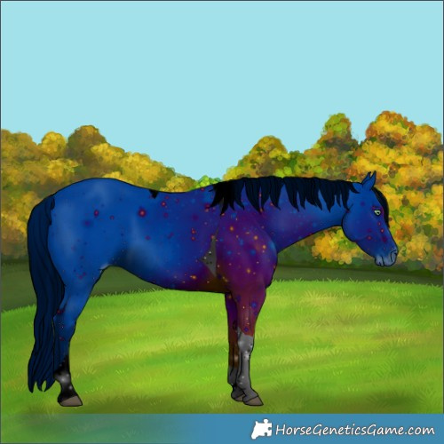 Horse Color:ERROR: UNKNOWN ANOMALY