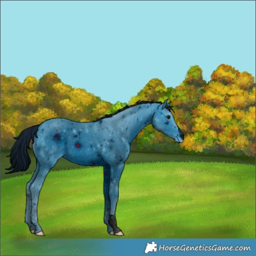 Horse Color:ERROR: UNKNOWN ANOMALY