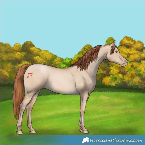 Horse Color:Buckskin Pearl Dun 