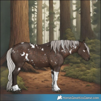 Horse Color:White Spotted Silver Brown Tobiano Rabicano 
