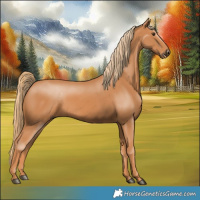 Horse Color:Chestnut Rabicano