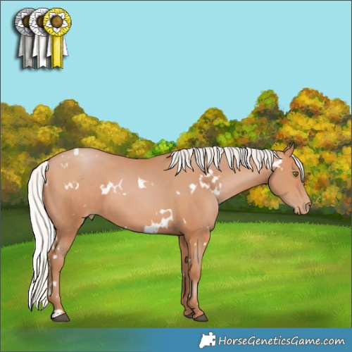 Horse Color:White Spotted Silver Brown Pearl 