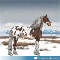 Horse Color:White Spotted Silver Brown Tobiano Appaloosa 
