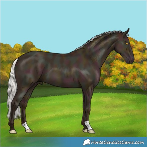 Horse Color:Midnight Silver Classic Champagne 