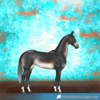 Horse Color:Brown Rabicano 
