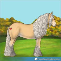 Horse Color:Palomino 