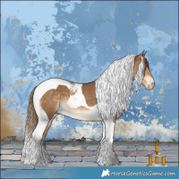 Horse Color:Gray Perlino Tobiano