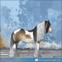 Horse Color:Buckskin Tobiano 
