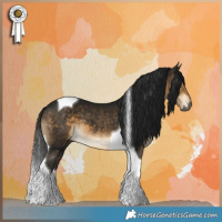 Horse Color:Gray Buckskin Tobiano 