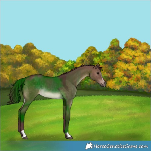 Horse Color:Chocolate Brown Dun Sabino 