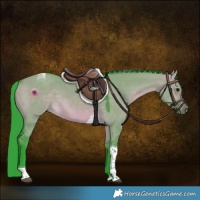 Horse Color:Watercolor Brown Dun Tobiano Rabicano 