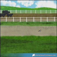 Horse Color:Silver Smoky Black 