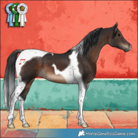 Horse Color:Brown Tobiano 