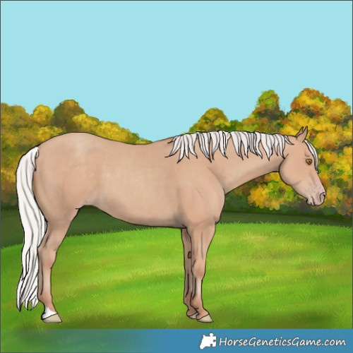 Horse Color:Silver Classic Champagne 