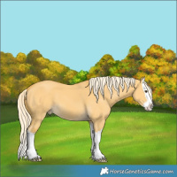 Horse Color:Palomino Dun Splash