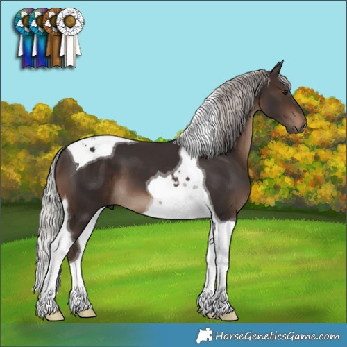 Horse Color:Silver Brown Tobiano 