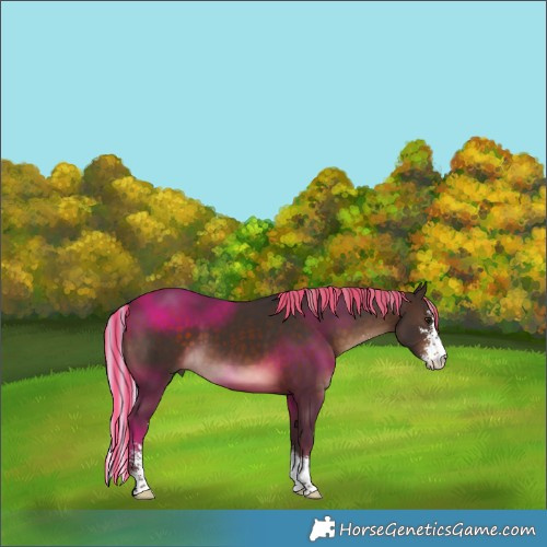 Horse Color:Painted Silver Brown Sabino 