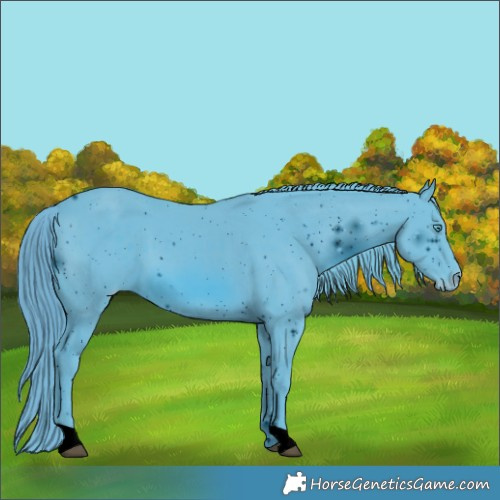 Horse Color:ERROR: UNKNOWN ANOMALY