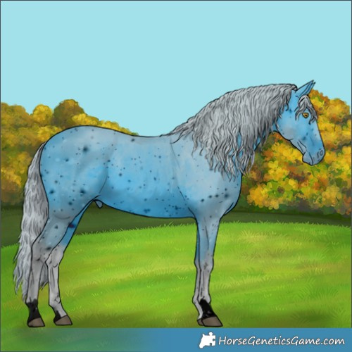 Horse Color:ERROR: UNKNOWN ANOMALY