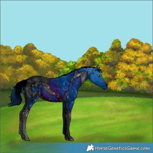 Horse Color:ERROR: UNKNOWN ANOMALY