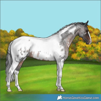 Horse Color:Brown Roan Tobiano Blanket 