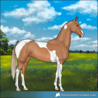 Horse Color:Chestnut Tobiano 