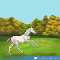 Horse Color:White Spotted Sable Cream Champagne Pearl Mushroom Tobiano Rabicano 