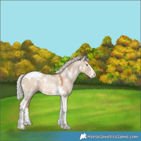 Horse Color:White Spotted Silver Bay Pearl Dun Splash Tobiano 