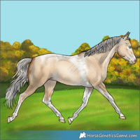 Horse Color:Gray Silver Sable Cream Champagne Pearl Dun Splash Tobiano Rabicano