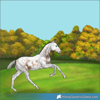 Horse Color:Silver Brown Pearl Splash Tobiano Frame Appaloosa
