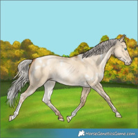 Horse Color:Gray White Spotted Silver Sable Cream Champagne Pearl Dun Tobiano 