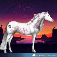 Horse Color:White Spotted Buckskin Dun Splash Tobiano