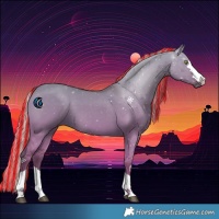 Horse Color:Painted Silver Grullo 