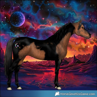 Horse Color:Void Brown Roan Tobiano